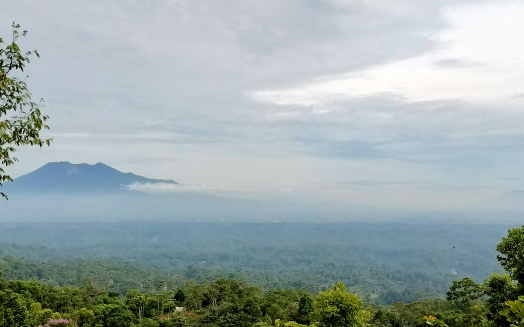 Desa Online, Potensi Desa Terangkat!